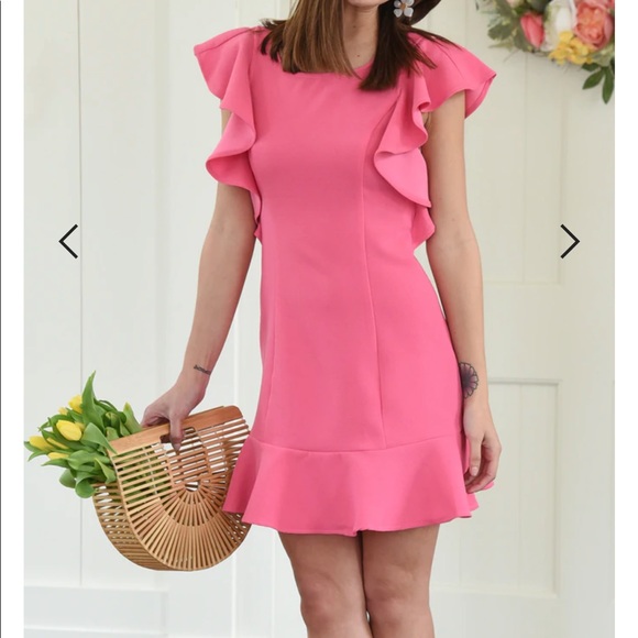 Harper Wren Lohan Dress Pink Ruffle Dress Size Large NEW with Tags - Picture 3 of 12